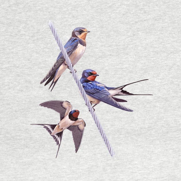 Barn Swallows by kokayart